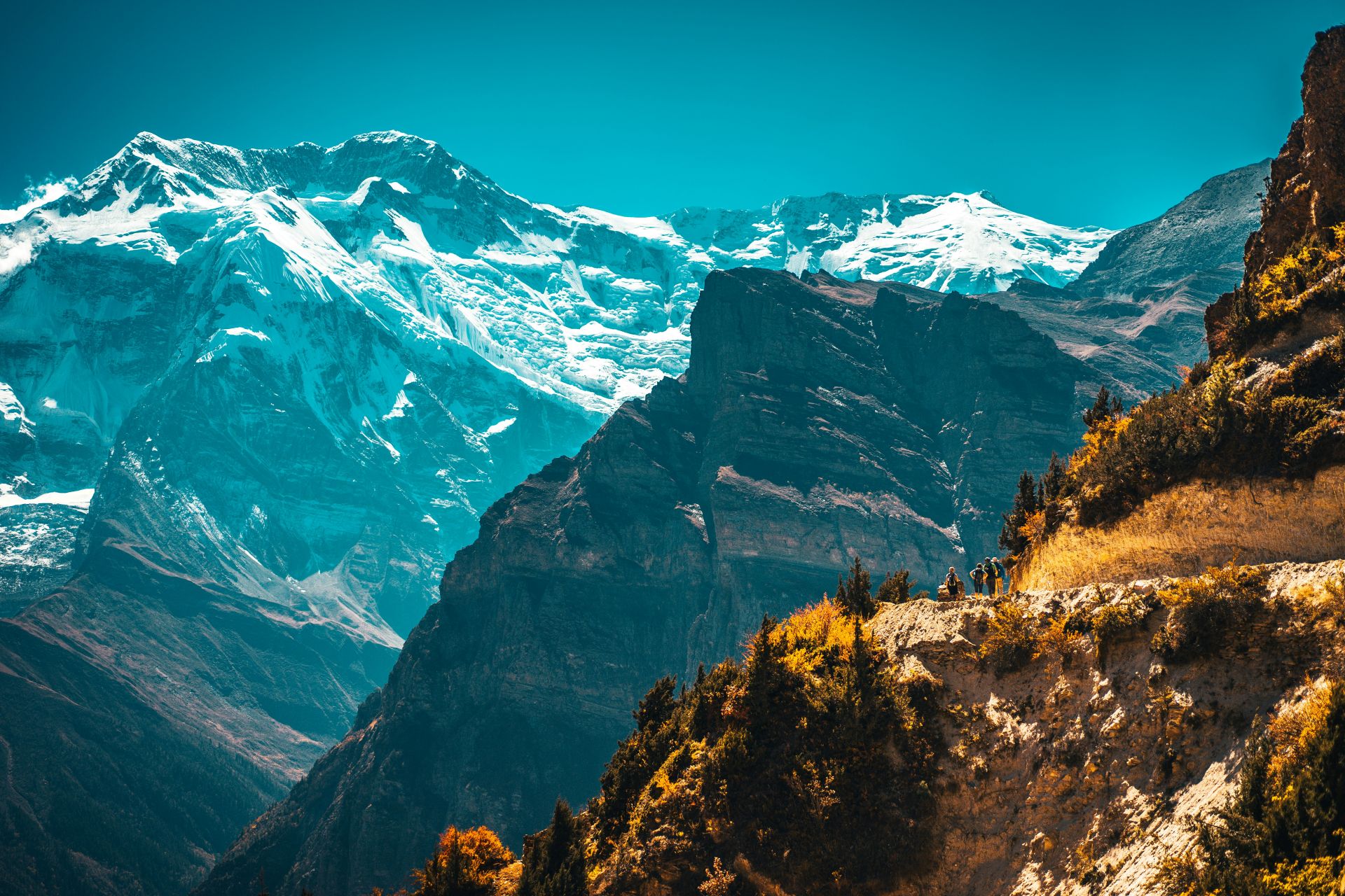 Trekking Looking at mountain.